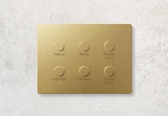 Lutron engraved scene-control keypad